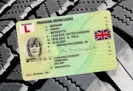 Your Provisional Driving Licence